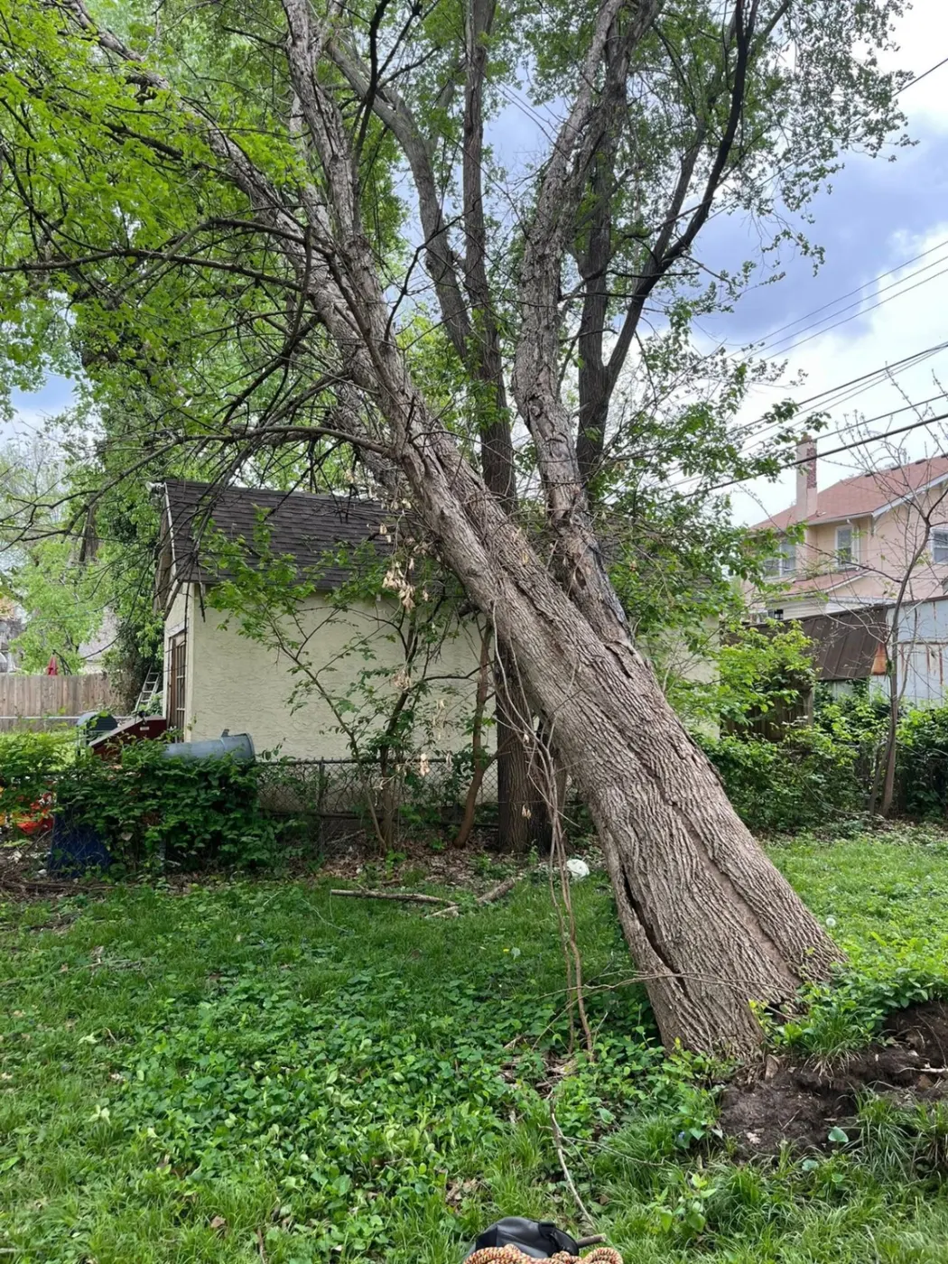 Emergency Tree Service