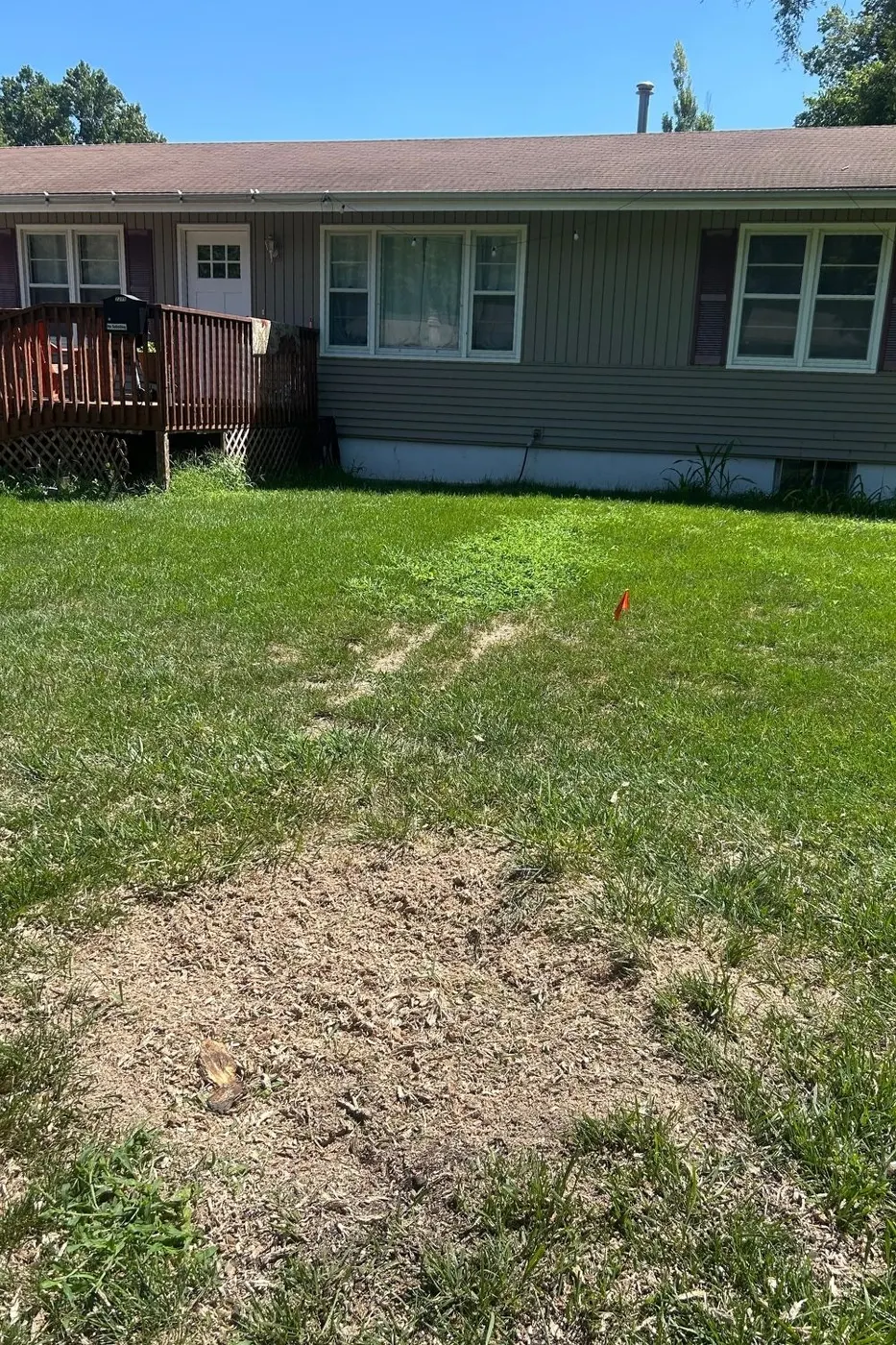 After stump grinding