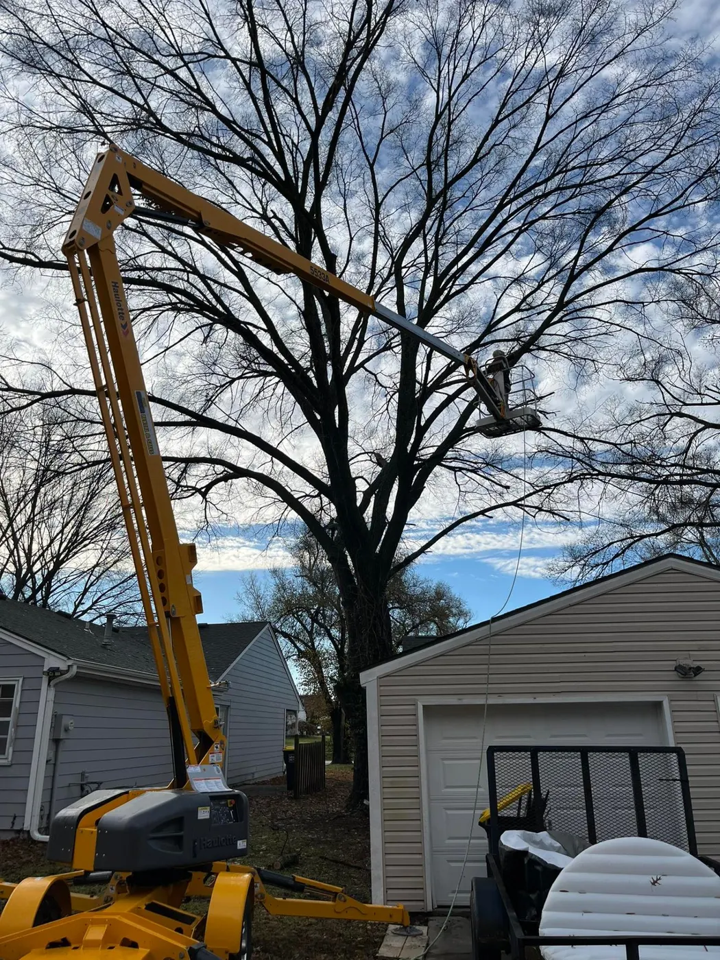 Boom lift used for tree removal